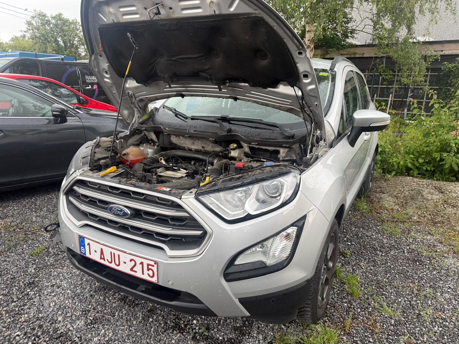 Ford EcoSport uit 2019 aangekocht door CarSwitch in Roosdaal